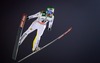 Jernej Damjan (SLO) during Mens Competition of FIS Ski Jumping World Cup at the Nordic Arena in Ruka, Finland on 2014/11/29.
