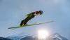 Gregor Schlierenzauer of Austria during practice Jump of 63 rd Four Hills Tournament of FIS Ski Jumping World Cup at the Schattenbergschanze, Oberstdorf, Germany on 2014/12/27.
