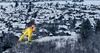 Andreas Kofler of Austria during practice Jump of 63 rd Four Hills Tournament of FIS Ski Jumping World Cup at the Schattenbergschanze, Oberstdorf, Germany on 2014/12/27.
