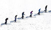 Hill workers  during the team competition of Viessmann FIS ski jumping World cup season 2014-2015 in Planica, Slovenia. Ski flying team competition of Viessmann FIS ski jumping World cup season 2014-2015 was held on Saturday, 21st of March 2015 on HS225 ski flying hill in Planica, Slovenia.
