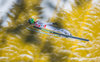 Peter Prevc of Slovenia during his 1st Round Jump of FIS Ski Flying World Championships at the Kulm, Bad Mitterndorf, Austria on 2016/01/15.

