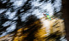 Severin Freund of Germany during his 1st Round Jump of FIS Ski Flying World Championships at the Kulm in Bad Mitterndorf, Austria on 2016/01/15.
