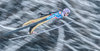 Andreas Wellinger of Germany during the Trial Jump of FIS Ski Flying World Championships at the Kulm in Bad Mitterndorf, Austria on 2016/01/17.
