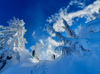 Ski touring in mountains above Kranjska Gora, Slovenia, after extensive snowfall in end of December 2020.