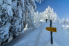 Ski touring in mountains above Kranjska Gora, Slovenia, after extensive snowfall in end of December 2020.