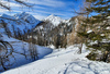 Ski touring in mountains above Gozd Martuljek, Slovenia. Beautiful views can been enjoyed from top of Trupejevo Poldne, Lepi vrh and Ojstri vrh mountains, located in backcountry above Gozd Martuljek, Slovenia.