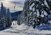 With early snow ski touring season in Julian Alps, Slovenia, started already in November. Skiers from were enjoying more then 70cm of fresh snow in perfect bluebird weather in mountains above Pokljuka, Slovenia, on 30th of November 2021.