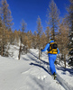 With early snow ski touring season in Julian Alps, Slovenia, started already in November. Skiers from were enjoying more then 70cm of fresh snow in perfect bluebird weather in mountains above Pokljuka, Slovenia, on 30th of November 2021.