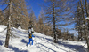 With early snow ski touring season in Julian Alps, Slovenia, started already in November. Skiers from were enjoying more then 70cm of fresh snow in perfect bluebird weather in mountains above Pokljuka, Slovenia, on 30th of November 2021.