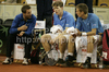 Finnish team with captain of team Finland, Kim Tiilikainen (L), Harri Heliovaara (M) and Jarkko Nieminen (R) during doubles match of Davis Cup between Slovenia and Finland. Match between Jarkko Nieminen and Harri Heliovaara of Finland, and Gregor Zemlja, and Luka Gregorc of Slovenia was held in Tivoli Arena in Ljubljana, Slovenia, on Saturday, 5th of March 2011.
