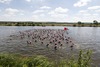 Schwimmstart der Damen in der Mosel // during the Ergo Ironman 70.3 in Remich, Luxembourg on 2014/06/21.
