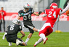 Kyle Callahan, (SWARCO Raiders Tirol, QB, #6) und Clemens Erlsbacher, (SWARCO Raiders Tirol, WR, #84) during quarterfinal match of European Football League between Swarco Raiders Tirol, Innsbruck, Austria, and Helsinki Roosters, Finland. Quarterfinal match of European Football League between Swarco Raiders Tirol and Helsinki Roosters was played on Saturday, 25th of May 2013 in Innsbruck, Austria.
