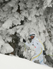 Bjoern Lind of Sweden skiing during qualifications for Men sprint race of Viessmann Cross country skiing FIS World Cup 2009-10. Qualifications for Men sprint race of Viessmann Cross country skiing FIS World Cup were held in Rogla, Slovenia, on 19th of December 2009.
