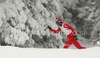 Eldar Roenning of Norway skiing during qualifications for Men sprint race of Viessmann Cross country skiing FIS World Cup 2009-10. Qualifications for Men sprint race of Viessmann Cross country skiing FIS World Cup were held in Rogla, Slovenia, on 19th of December 2009.
