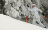 Robin Bryntesson of Sweden skiing during qualifications for Men sprint race of Viessmann Cross country skiing FIS World Cup 2009-10. Qualifications for Men sprint race of Viessmann Cross country skiing FIS World Cup were held in Rogla, Slovenia, on 19th of December 2009.
