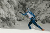 Cyril Gaillard of France skiing during qualifications for Men sprint race of Viessmann Cross country skiing FIS World Cup 2009-10. Qualifications for Men sprint race of Viessmann Cross country skiing FIS World Cup were held in Rogla, Slovenia, on 19th of December 2009.
