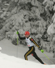 Tobias Angerer of Germany skiing during qualifications for Men sprint race of Viessmann Cross country skiing FIS World Cup 2009-10. Qualifications for Men sprint race of Viessmann Cross country skiing FIS World Cup were held in Rogla, Slovenia, on 19th of December 2009.
