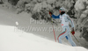 Giovanni Gullo of Italy skiing during qualifications for Men sprint race of Viessmann Cross country skiing FIS World Cup 2009-10. Qualifications for Men sprint race of Viessmann Cross country skiing FIS World Cup were held in Rogla, Slovenia, on 19th of December 2009.
