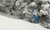 Virpi Kuitunen of Finland skiing during qualifications for Women sprint race of Viessmann Cross country skiing FIS World Cup 2009-10. Qualifications for Women sprint race of Viessmann Cross country skiing FIS World Cup were held in Rogla, Slovenia, on 19th of December 2009.
