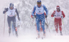 Nikolay Chebotko of Kazakhstan (L), Alexander Panzhinskiy of Russia (M) and Oeystein Pettersen of Norway (R) skiing during finals of Men sprint race of Viessmann Cross country skiing FIS World Cup 2009-10. Men sprint race of Viessmann Cross country skiing FIS World Cup were held in Rogla, Slovenia, on 19th of December 2009.
