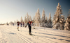 Skiers warming up before Women 15km classic mass start race of Viessmann Cross country skiing FIS World Cup 2009-10. Women 15km classic mass start race of Viessmann Cross country skiing FIS World Cup were held in Rogla, Slovenia, on 20th of December 2009.
