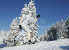 Jesper Modin of Sweden skiing in Men 30km classic mass start race of Viessmann Cross country skiing FIS World Cup 2009-10. Men 30km classic mass start race of Viessmann Cross country skiing FIS World Cup were held in Rogla, Slovenia, on 20th of December 2009.
