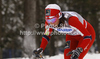 Heidi Weng of Norway skiing during women 10km classic race of FIS cross country skiing World cup race in Rogla, Slovenia. Women 10km classic race of FIS cross country skiing World cup was held on Rogla, Slovenia, on Saturday, 17th of December 2011.
