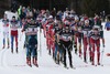 Dario Cologna (Sui) leading the group during the Men 15 km Cross Country of the FIS Tour de Ski 2015 at the Cross Country Stadium, Lago di Tesero, Italy on 2015/01/10.

