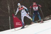 HALFVARSSON Calle (SWE) during the Men 9 km Pursuit Cross Country of the FIS Tour de Ski 2014 at the Cross Country Stadium, Lago di Tesero, Italy on 2015/01/11.
