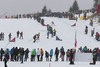 Group during the Men 9 km Pursuit Cross Country of the FIS Tour de Ski 2014 at the Cross Country Stadium, Lago di Tesero, Italy on 2015/01/11.
