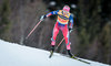 Therese Johaug of Norway during Ladies Cross Country Competition of FIS Cross Country World Cup at the Nordic Arena, Lillehammer, Norway on 2015/12/05.
