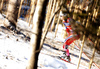 Astrid Uhrenholdt Jacobsen of Norway skiing during finals of the women team sprint race of Viessmann FIS Cross country skiing World cup in Planica, Slovenia. Women team sprint race of Viessmann FIS Cross country skiing World cup was held on Sunday, 17th of January 2016 in Planica, Slovenia.
