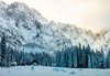 Cross country skiing tracks are done after extensive snow covered Ratece and Tamar valley, Slovenia, in last several days. More then 1m thick snow layer enables cross country skiers to enjoy their sport in unspoiled nature between beautiful Julian Alps mountains.