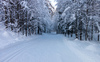 Cross country skiing tracks are done after extensive snow covered Ratece and Tamar valley, Slovenia, in last several days. More then 1m thick snow layer enables cross country skiers to enjoy their sport in unspoiled nature between beautiful Julian Alps mountains.