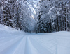 Cross country skiing tracks are done after extensive snow covered Ratece and Tamar valley, Slovenia, in last several days. More then 1m thick snow layer enables cross country skiers to enjoy their sport in unspoiled nature between beautiful Julian Alps mountains.