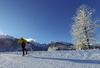 Cross country skiing in Ratece, Slovenia.