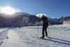 Cross country skiing in Ratece, Slovenia.