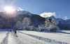 Cross country skiing in Ratece, Slovenia.
