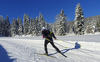 Cross country skiing in Ratece, Slovenia.