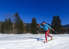 Cross country skiing in Ratece, Slovenia.