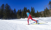 Cross country skiing in Ratece, Slovenia.