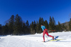 Cross country skiing in Ratece, Slovenia.