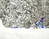 Krista Parmakoski of Finland skiing during women team sprint finals of  cross country skiing team sprint race of FIS Nordic skiing World Championships 2023 in Planica, Slovenia. Cross country skiing team sprint race of FIS Nordic skiing World Championships 2023 was held in Planica Nordic Center in Planica, Slovenia, on Sunday, 26th of February 2023.