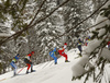 Niilo Moilanen of Finland skiing during men team sprint finals of  cross country skiing team sprint race of FIS Nordic skiing World Championships 2023 in Planica, Slovenia. Cross country skiing team sprint race of FIS Nordic skiing World Championships 2023 was held in Planica Nordic Center in Planica, Slovenia, on Sunday, 26th of February 2023.