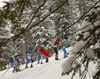 Calle Halfvarsson of Sweden skiing during men team sprint finals of  cross country skiing team sprint race of FIS Nordic skiing World Championships 2023 in Planica, Slovenia. Cross country skiing team sprint race of FIS Nordic skiing World Championships 2023 was held in Planica Nordic Center in Planica, Slovenia, on Sunday, 26th of February 2023.